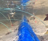 Der Fliesspfad im Sediment der Erpe zur regelmässigen Beprobung der organischen Spurenstoffe und Wasserwerte. (Bild: ©Christoph Reith) Der Fliesspfad im Sediment der Erpe zur regelmässigen Beprobung der organischen Spurenstoffe und Wasserwerte. (Bild: ©Christoph Reith)