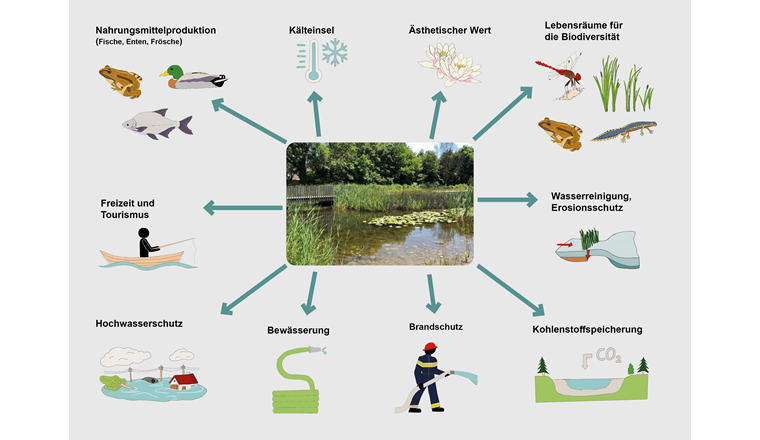 Fig. 1 Gewässer im Siedlungsraum bieten der Gesellschaft zahlreiche Vorteile.