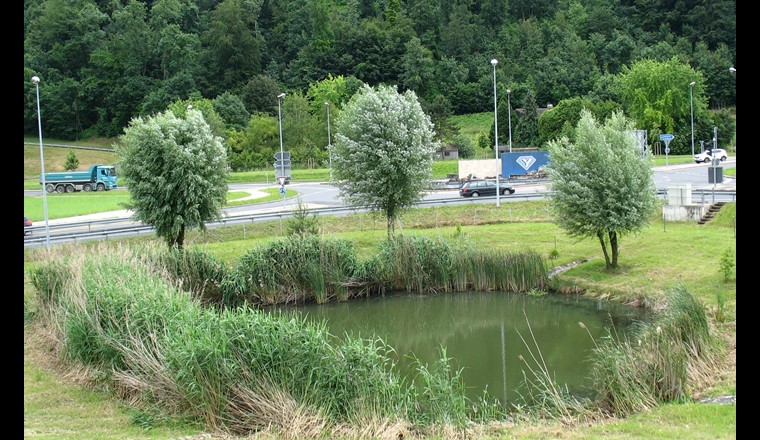 Fig. 2. Dieser kleine Teich mit einer Fläche von 400 m2 kann 1000 m3 Wasser bzw. – dank grossem Überschwemmungsgebiet – temporär sogar sehr viel mehr speichern. Dieses Rückhaltebecken nimmt Regenwasser aus dem Strassennetz im Süden von Yverdon (VD) auf und trägt zur Abflussregulierung im Siedlungsraum bei. (Foto © L. Pointet)