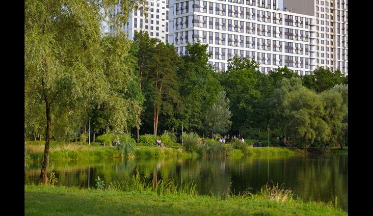 Plans d’eau urbains - un nouveau guide permet d'optimiser leurs services écosystémiques et d'améliorer ainsi la qualité de vie dans les milieux urbains. (Photo © Adobe Stock)