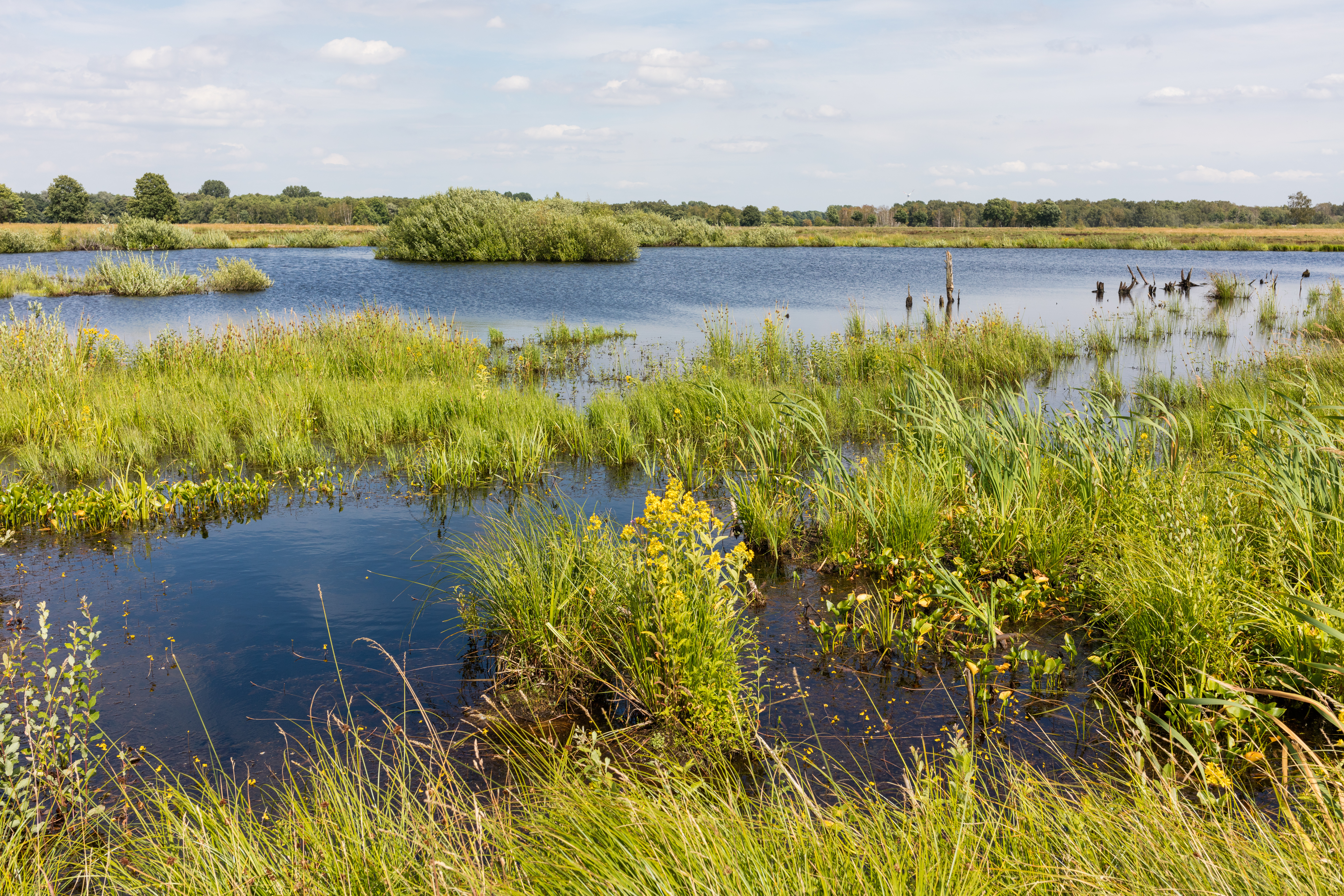 (Bild: ©adobestock)