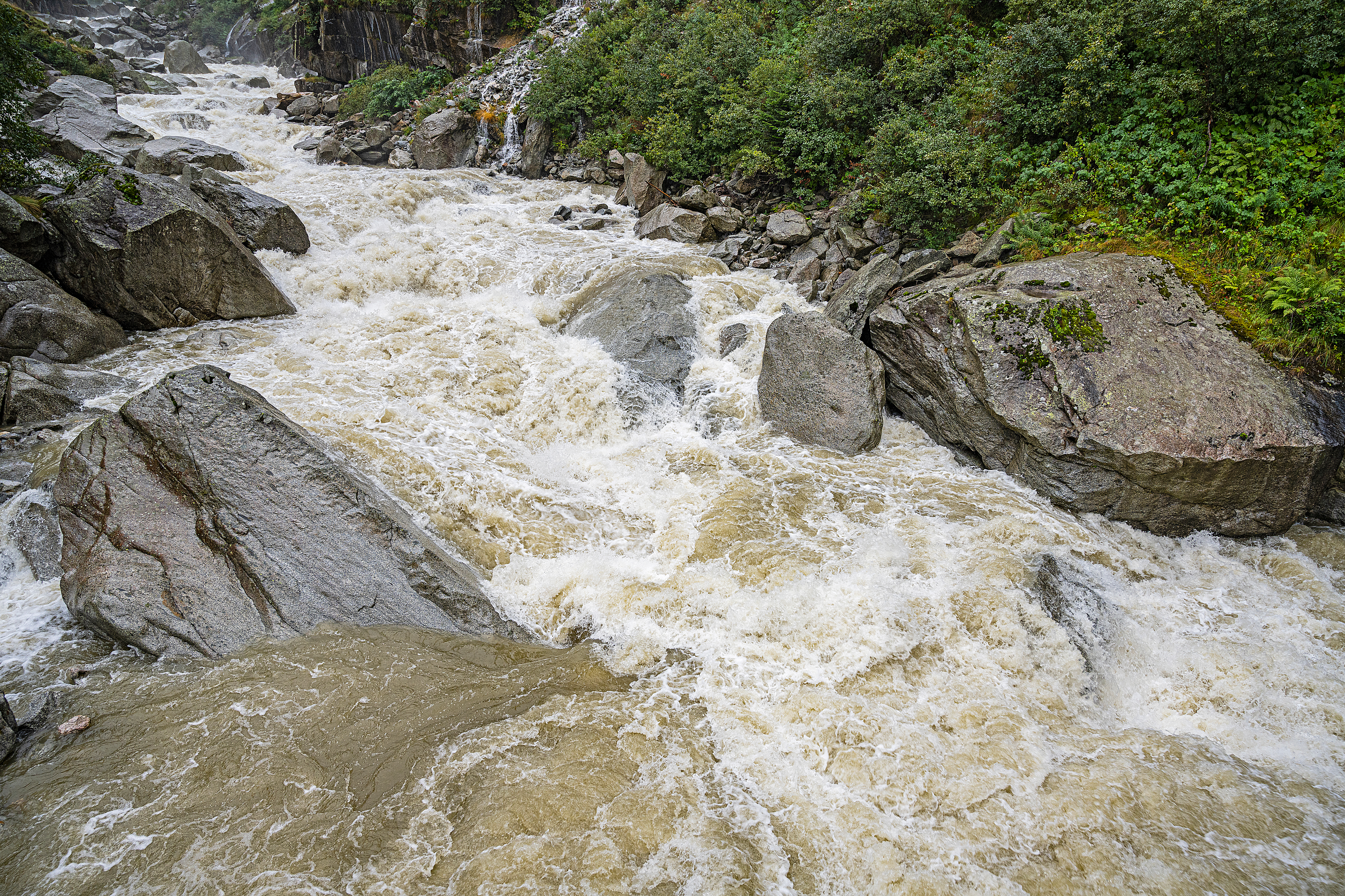 (Bild: ©adobestock)