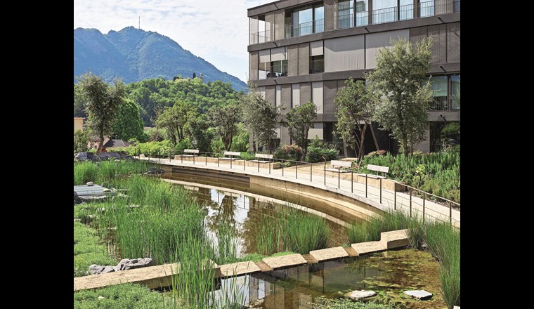 Fig. 6 Retentionsteich in der Überbauung Parco Casarico in Sorengo (TI). Ein preiswürdiges Beispiel für die Kombination von Biodiversität und lokaler Regenwasserbewirtschaftung (https://www.preis-biodiversitaet.ch/binding-innovationspreis-2022/). (© Igor Ponti)