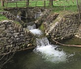(© Ginkgo2g, CC BY-SA 4.0) (© Ginkgo2g, CC BY-SA 4.0)