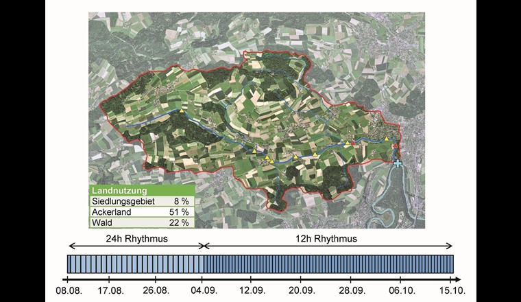 Fig. 1 Oben: Einzugsgebiet des Chräbsbachs, nachgezeichnet in Blau, mit einigen Nebengewässern sowie Angaben zur Landnutzung. Entlastungsbauwerke sind mit gelben Dreiecken markiert, RÜB Hubel und RÜB Zollikofen in Rot. Das blaue Kreuz bezeichnet die Probenahmestelle kurz vor der Mündung in die Aare. Unten: Probenahmefrequenz über den Zeitraum vom 8. August bis 15. Oktober jeweils mittags. Der Wechsel vom 24-h- zum 12-h-Takt erfolgte am 5. September.