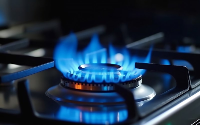 Bundesrat hält an 15-Prozent-Gassparziel fest