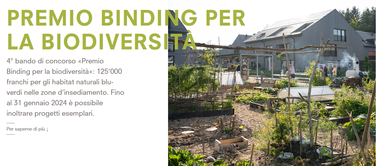 Pubblicazione del bando di concorso del «Premio Binding per la biodiversità 2024»
