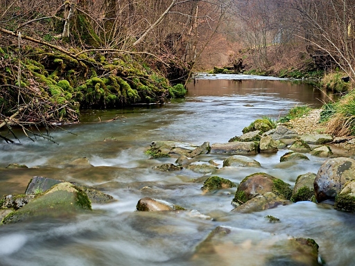 Die Wasserqualität hat sich in der Glatt zwar verbessert. Noch immer gibt es aber zu viele Mikroverunreinigungen, die auch von den aufgerüsteten Abwasserreinigungsanlagen nicht herausgefiltert werden können. (Bild Glattkommission / sda)