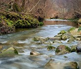 Die Wasserqualität hat sich in der Glatt zwar verbessert. Noch immer gibt es aber zu viele Mikroverunreinigungen, die auch von den aufgerüsteten Abwasserreinigungsanlagen nicht herausgefiltert werden können. (Bild Glattkommission / sda) Die Wasserqualität hat sich in der Glatt zwar verbessert. Noch immer gibt es aber zu viele Mikroverunreinigungen, die auch von den aufgerüsteten Abwasserreinigungsanlagen nicht herausgefiltert werden können. (Bild Glattkommission / sda)