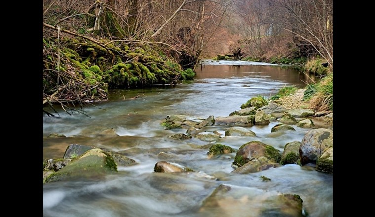 La qualità dell'acqua nel Glatt è migliorata. Tuttavia, ci sono ancora troppi microinquinanti che non possono essere filtrati nemmeno dagli impianti di trattamento delle acque reflue potenziati. (Immagine Commissione Glatt / sda)