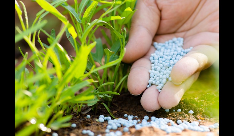 Phosphor in granulierter Form. Wegen des grossen Verlusts von Phosphor in den Böden, soll dieser Pflanzennährstoff ab 2026 aus Abwasser, Klärschlamm oder Klärschlammasche rezykliert werden. (Bild: AdobeStock/singkham)