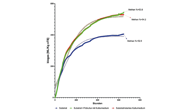 Fig. 3 Biogasproduktion des enzymatisch vorbehandelten Substrats.