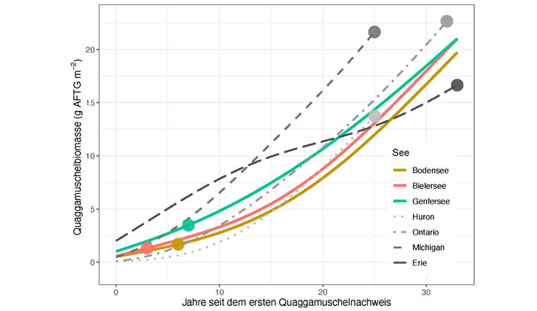 Biomassa calcolata di cozze quagga per metro quadro in un periodo di 33 anni dal primo rilevamento. I punti rappresentano lo stato nel 2022 (Grafico: ©Kraemer et al., 2023, rivisto)