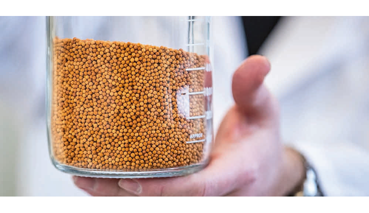 Fig. 2 Sphärische Pellets des Eisen-Katalysators, bestehend aus dem Trägermaterial Zeolith, das mit Partikeln aus dotiertem Eisen versehen ist. Das Eisen ist der eigentliche Katalysator der Methanisierungsreaktion.