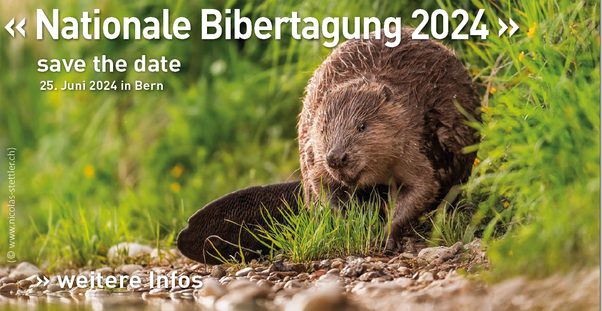 
                        Nationale Bibertagung 2024
                    