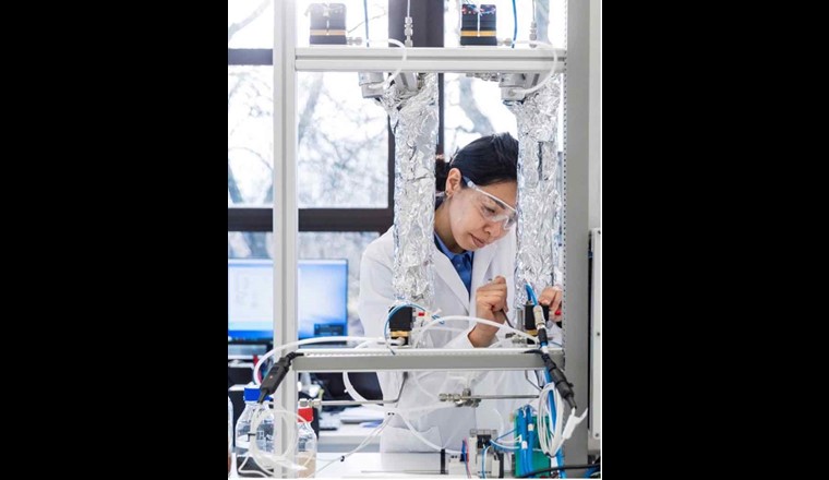 Stefanie Mizuno im Labor des OST. Die Chemieingenieurin studierte in Brasilien und schloss ihre Doktorarbeit am Paul Scherrer Institut (Villigen/AG) und an der Eidgenössischen Technischen Hochschule (ETH) in Zürich ab. Heute arbeitet die Zeolith-Wissenschaftlerin in der Forschungsgruppe von Andre Heel. Foto: OST