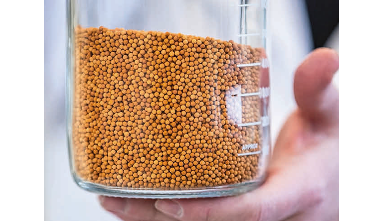 Biogasanlagen haben zwei Gesichter: Zum einen produzieren sie erneuerbares Methan und damit
einen klimafreundlichen Erdgasersatz, zum anderen entlassen sie Kohlendioxid (CO2), das zuvor in der Biomasse gebunden wurde, ungenutzt in die Umwelt.