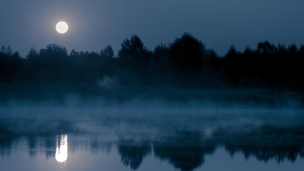 Nur der Vollmond: Ein See bei Nacht, ohne Lichtverschmutzung. (Bild: ©Shutterstock)