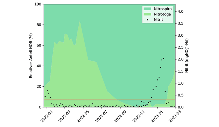 Fig. 4 Nitrit-Ablaufwerte aus der biologischen Reinigung der ARA Furt und relative Anteile von
Nitrotoga und Nitrospira an den gesamten NOB. Die durchgezogene orangefarbene Linie
zeigt den Nitrit-Richtwert.
