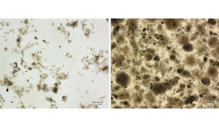 Fig. 3 Stereomikroskopische Bilder vom Überlauf (links) und vom Unterlauf (rechts) des Zyklons am 3. Januar 2023.