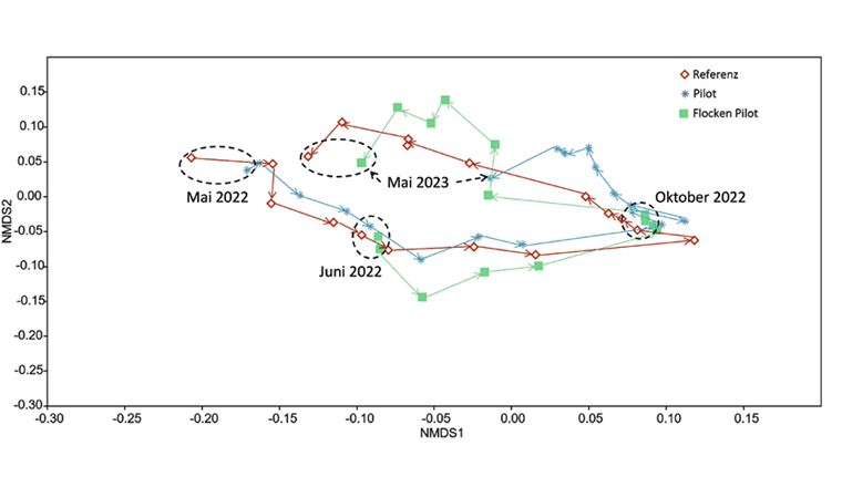 Fig. 7 Nichtmetrische multidimensionale Skalierung (NMDS) für die Referenzstrasse, die Pilotstrasse sowie die Flocken der Pilotstrasse. Je näher beieinander zwei Datenpunkte liegen, desto ähnlicher ist die bakterielle Zusammensetzung des Belebtschlamms.