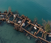Holzriffe im Brienzersee dienen u. a. als Fischunterstand. Diese Aufnahme erfolgte kurz nach Fertigstellung bei sehr niedrigem Wasserstand. Koordinaten: 2’646’390, 1’176’640 (Foto: J. Flühmann/RenF) Holzriffe im Brienzersee dienen u. a. als Fischunterstand. Diese Aufnahme erfolgte kurz nach Fertigstellung bei sehr niedrigem Wasserstand. Koordinaten: 2’646’390, 1’176’640 (Foto: J. Flühmann/RenF)