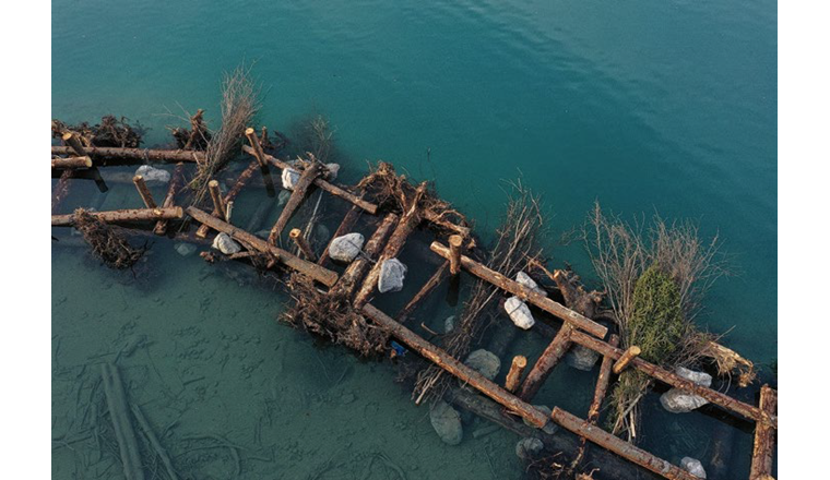 Holzriffe im Brienzersee dienen u. a. als Fischunterstand. Diese Aufnahme erfolgte kurz nach Fertigstellung bei sehr niedrigem Wasserstand. Koordinaten: 2’646’390, 1’176’640 (Foto: J. Flühmann/RenF)