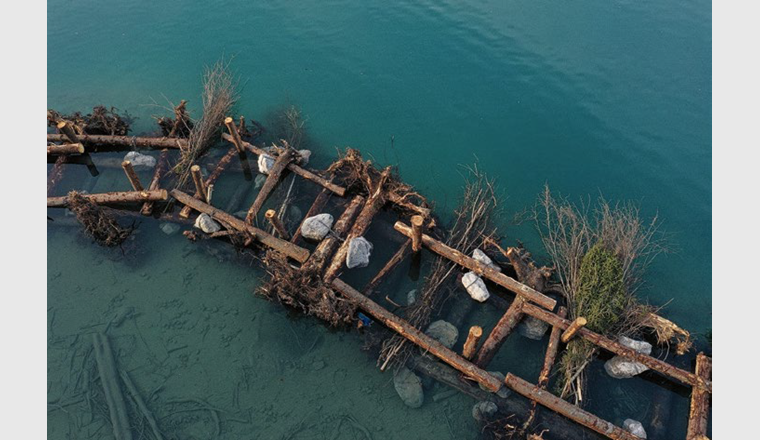 Les récifs en bois du lac de Brienz servent entre autres d'abris pour les poissons. Cette photo a été prise peu après l'achèvement des travaux, alors que le niveau de l'eau était très bas. Coordonnées : 2'646'390, 1'176'640 (Photo : J. Flühmann/RenF)