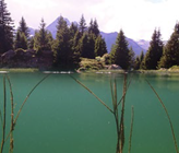 Neben dem Klimawandel stellt der Rückgang
der Biodiversität eine der dringlichsten
Umweltkrisen dar. Die wasserreiche Schweiz
trägt hier eine besondere Verantwortung, denn
Gewässer sind Hotspots der Biodiversität.
(© Mark Charran) Neben dem Klimawandel stellt der Rückgang
der Biodiversität eine der dringlichsten
Umweltkrisen dar. Die wasserreiche Schweiz
trägt hier eine besondere Verantwortung, denn
Gewässer sind Hotspots der Biodiversität.
(© Mark Charran)