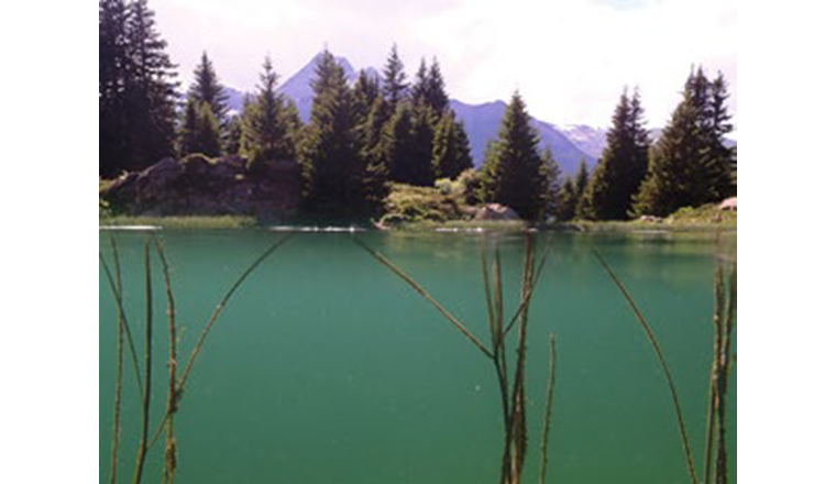 Neben dem Klimawandel stellt der Rückgang
der Biodiversität eine der dringlichsten
Umweltkrisen dar. Die wasserreiche Schweiz
trägt hier eine besondere Verantwortung, denn
Gewässer sind Hotspots der Biodiversität.
(© Mark Charran)
