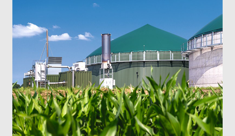 Im Jahr 2022 wurden in Europa 254 neue Biogasanlagen in Betrieb genommen. Damit erhöhte sich die Zahl der Biogasanlagen gemäss EBA-Statistikbericht auf mehr als 1300. In der Schweiz werden keine Energiepflanzen in Biogasanlagen eingesetzt, in anderen europäischen Ländern hingegen schon. (© Adobe Stock)