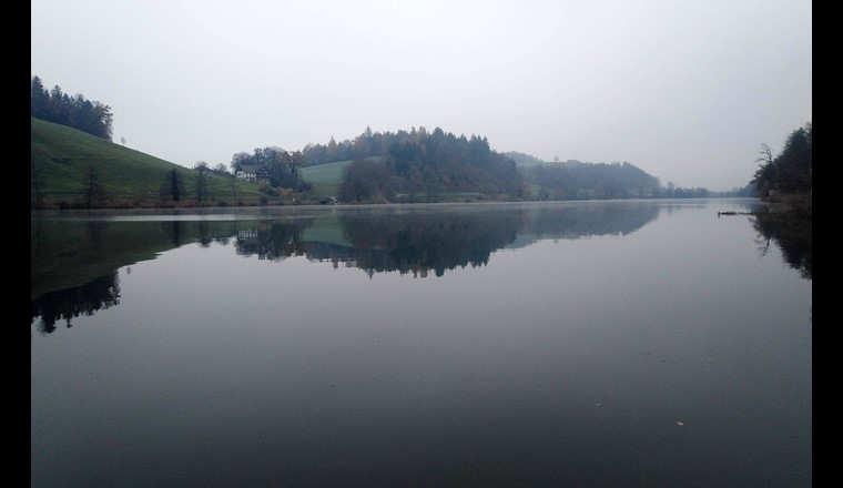 Der Rotsee in der Nähe von Luzern ist ein idealer Versuchsort, weil es hier oft windstill ist. Die kalte Luft im November kühlt das Wasser an der Seeoberfläche ab und löst damit eine Strömung aus (Foto: Tomy Doda, Eawag).