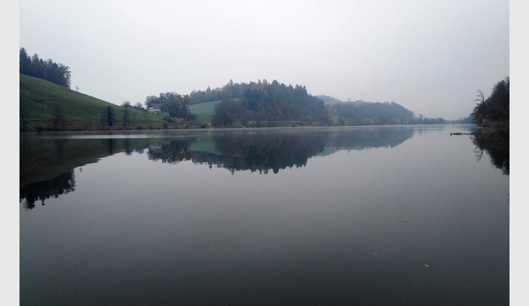 Le Rotsee, près de Lucerne, est un lieu d’expérimentation idéal, car très peu venteux. L’air froid de novembre refroidit l’eau à la surface du lac et crée ainsi un courant. (Photo : Tomy Doda, Eawag)