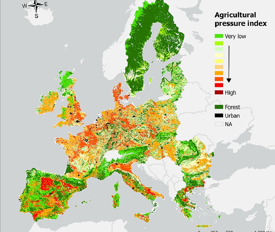 Die Art der Landwirtschaft ist mit entscheidend für den Zustand der Gewässer. (© Schürings, Ch. et al. /Universität Duisburg Essen)