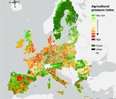 Die Art der Landwirtschaft ist mit entscheidend für den Zustand der Gewässer. (© Schürings, Ch. et al. /Universität Duisburg Essen) Die Art der Landwirtschaft ist mit entscheidend für den Zustand der Gewässer. (© Schürings, Ch. et al. /Universität Duisburg Essen)