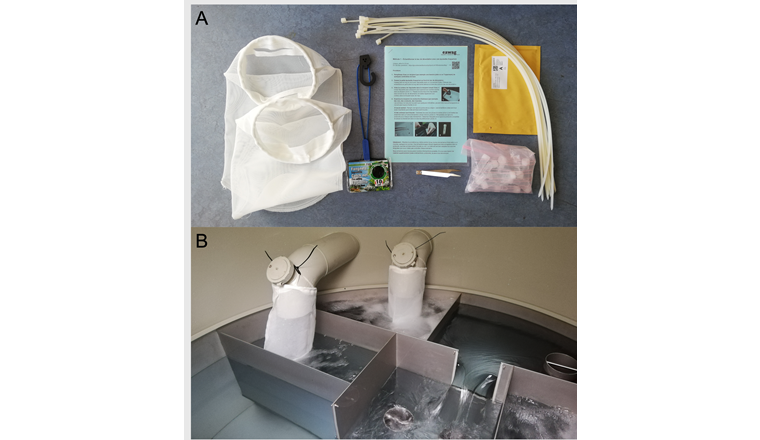Fig. 1 A) Für die Grundwasserbeprobung verwendete Netze (links: Filternetz, rechts davon: Aquarienkescher), Anleitung der Sammelmethode, Proberöhrchen und zusätzliches Material.
B) An Quellzuläufen montierte Filternetze zur Sammlung von Makroinvertebraten aus dem Grundwasser.