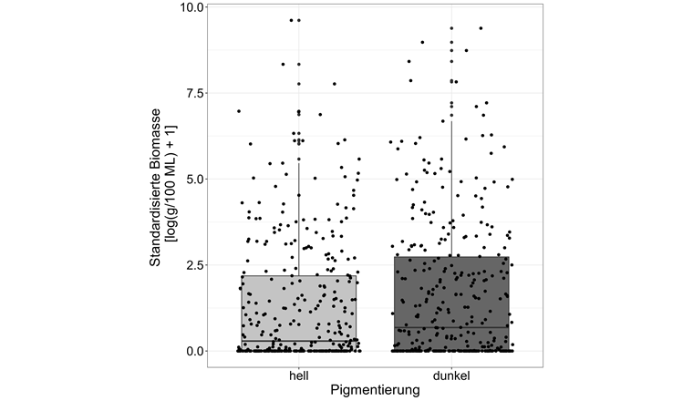 Fig. 5 Standardisierte Biomasse pro Standort und Pigmentierung. Die Biomasse ist in g pro 100 ML Grundwasser berechnet und auf einer «log10(Biomasse)+1»-Skala dargestellt.