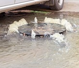 Wasser aus dem Abwassersystem drückt auf die Strasse. (Bild: Adobe Stock) Wasser aus dem Abwassersystem drückt auf die Strasse. (Bild: Adobe Stock)
