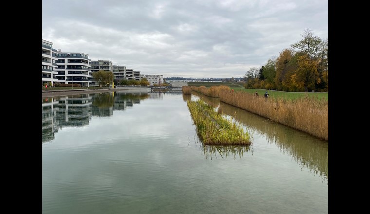 Blau-grüne Infrastruktur in peri-urbanem Gebiet: der Glattpark bei Opfikon.