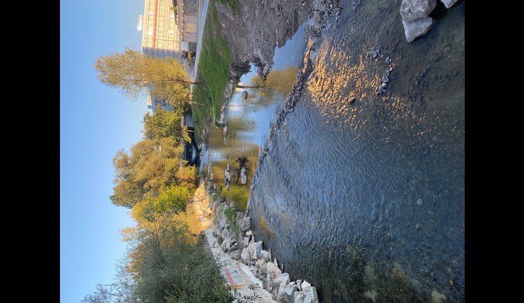 Blau-grüne Infrastruktur in peri-urbanem Gebiet: die Glatt bei Dübendorf.