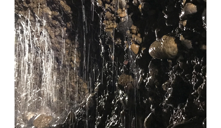 Grundwasser - eine schützenswerte, sensible  Ressource. Foto zvg. SGH