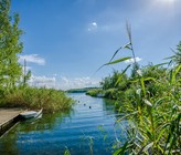 Das Projekt IQ-Wasser soll helfen Biodiversität von Gewässern mit Molekularbiologie und KI zu schützen.  (Bild: RobinKunzFotografie - Adobe Stock)