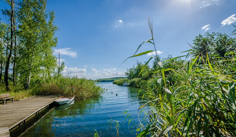 Il progetto IQ-Water mira a proteggere la biodiversità dell'acqua grazie alla biologia molecolare e all'intelligenza artificiale.  (Immagine: RobinKunzFotografie - Adobe Stock)