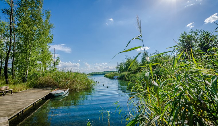 Das Projekt IQ-Wasser soll helfen Biodiversität von Gewässern mit Molekularbiologie und KI zu schützen.  (Bild: RobinKunzFotografie - Adobe Stock)
