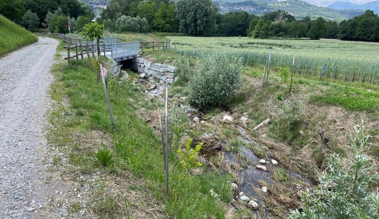 Nachher: der revitalisierte Riale Prella. (Bild: Comal.ch)