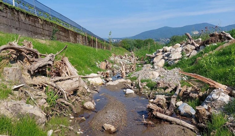 Revitaliserter Riale Prella mit Strukturen, die verschiedenen Tierarten Unterschlupf bieten. (Bild: Comal.ch)