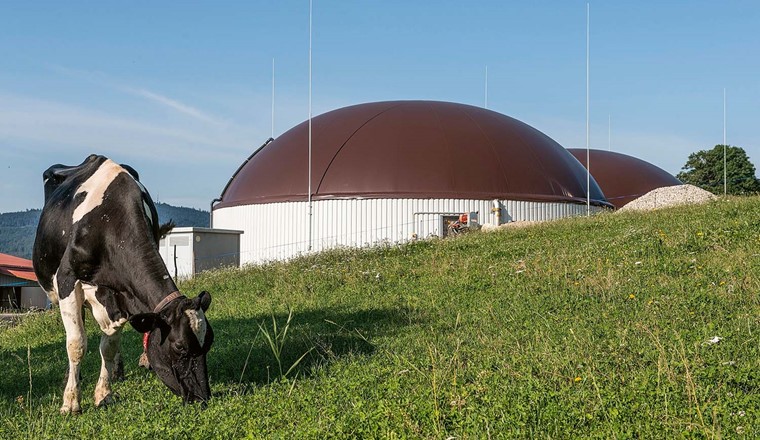 Approches combinées pour l’intensification de la production de biogaz.