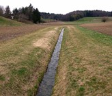 Viele Schweizer Bäche weisen Beeinträchtigungen durch menschliche Einflüsse auf – so auch dieser Bach bei Ossingen ZH. (Bild: Andri Bryner) Viele Schweizer Bäche weisen Beeinträchtigungen durch menschliche Einflüsse auf – so auch dieser Bach bei Ossingen ZH. (Bild: Andri Bryner)