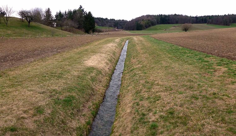 Molti corsi d'acqua svizzeri sono interessati dall'attività umana, tra cui questo torrente vicino a Ossingen ZH. (Immagine: Andri Bryner)