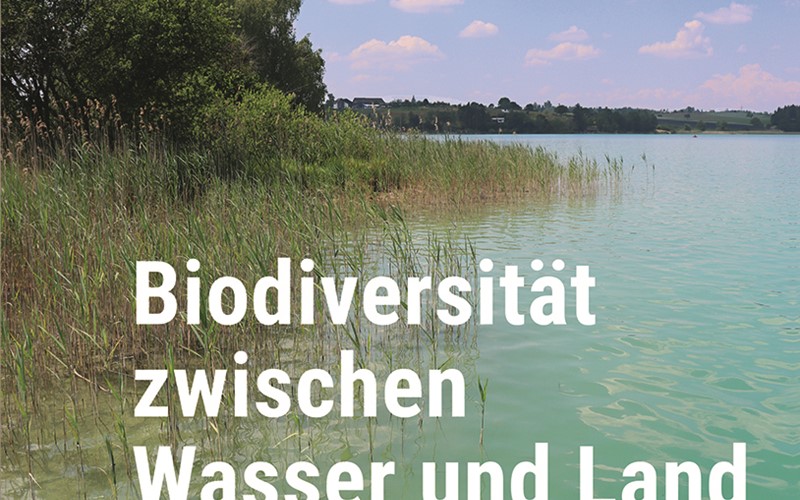 Biodiversität zwischen Wasser und Land